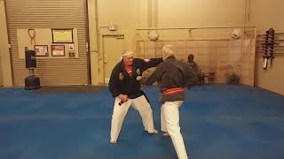 Passai Dai Bunkai for Seiyo Shorin Ryu Karate