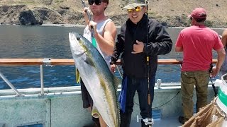 Outrider Sportfishing - Jun 16 2016 - Overnight - San Clemente Island