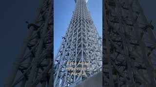 Tokyo Sky Tree - guaranteed to awe you