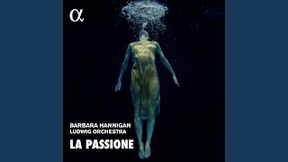 Symphony No. 49 in F Minor, Hob. I:49 'La Passione': I. Adagio