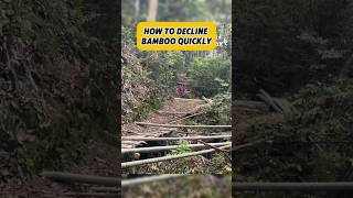 Unique way to bring down bamboo from the mountain #factsdaily #factshorts #uniqueshorts