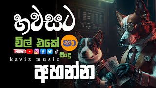 Shaa fm sindu kamare  nonstop 2023 | best sinhala  song collection | aluth sindu