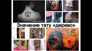 Значение тату дерево - информация про рисунок и фото примеры для сайта tattoo-photo.ru