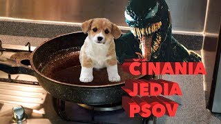 Číňania sú ako VENOM jedia psov │ VLOG │ [ENG SUB]