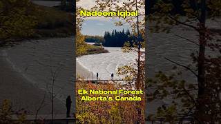 Elk National Forest Park. Edmonton. Alberta. Canada. جھیل کی لہریں جب سرگوشی کرتی  آتی