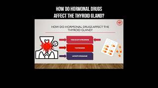 How do hormonal drugs affect the thyroid gland? #hormones #thyroidhormone #thyroid #endocrinology