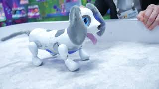 FIRST LOOK: Zoomer Playful Pup will melt your Heart - NY Toy Fair 2018