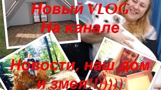 НОВЫЙ VLOG | Змея, наш дом и стрижка волос