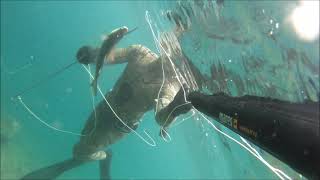 Shallow SpearFishing 0-5m Ψάρεμα Στην Εύβοια!