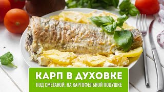 🥘 Карп в духовке с картошкой и сметаной - как приготовить вкусно?