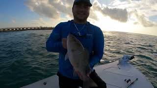 DRIFT FISHING SEBASTIAN INLET