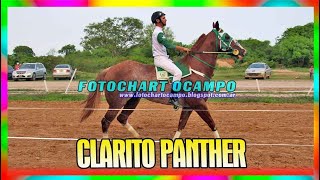 CLARITO PANTHER   Pirane   Formosa 13 10 2024