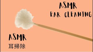 ASMR Ear Cleaning | ASMR  耳掃除 (No Talking)