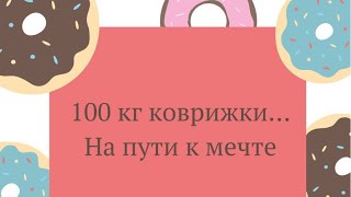 100 кг коврижки на пути к мечте [Аудиокнига]