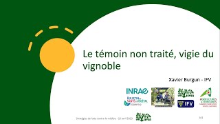 Le Témoin non traité, vigie du vignoble