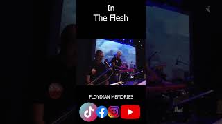 In the flesh - Floydian Memories