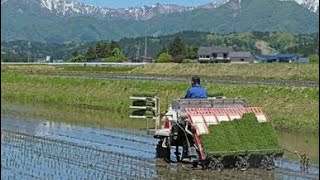 TEKNOLOGI PERTANIAN MODERN || Modern farming machine