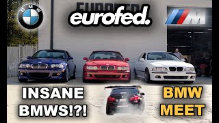 BMW Heaven: INSANE Lineup at Eurofed's Exclusive BMW Meet!