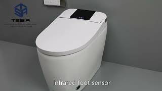 8月15日smart toilet