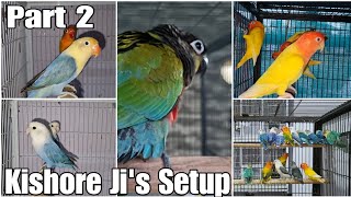 Kishore Ji's Setup - Part 2 - Conures, Lovebirds and Show Cross Budgies || All About Pets