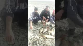 Carp fishing in Mangla dam pakistan china fish gulfam🐟🐟Fishing with frndz😉😉#fishing#hook#shikari#