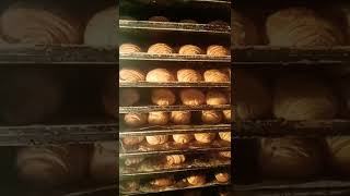 كيف طريقة طياب كرواصة في المخابيزComment faire cuire des croissants dans les boulangeries