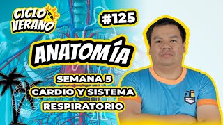 125 - VERANO - SEMANA 5 - ANATOMÍA CARDIO Y SISTEMA RESPIRATORIO - 08/02/2024