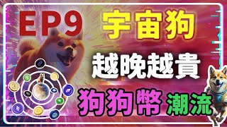 【Token 分析室 第 9 集】《Dogeverse》緊隨 Dogecoin20 潮流 階梯式策略 越晚買越貴  #Dogeverse #迷因幣 #土狗幣