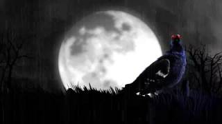 The Black Grouse TV Advert - Stormy Night