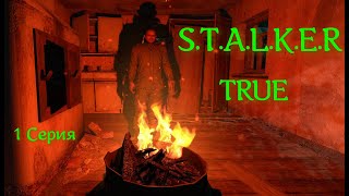 Сталкер - True Stalker , Свежая и  Годная Модификация ! Знакомство с игрой и  задание Сидора !  1 ч.