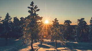 LIVE: Amazing cold weather -32'C & winter beauty! Arctic Circle Lapland Finland!