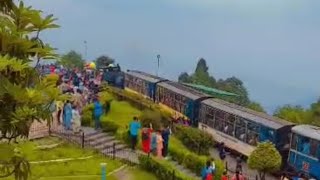 darjeeling toy train video#Darjeeling places to visit#Darjeeling hill station# Himalayan Railway💛💛