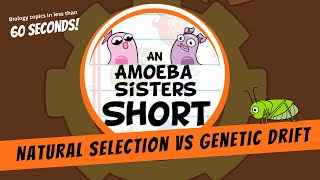 Natural Selection vs Genetic Drift - Amoeba Sisters #Shorts