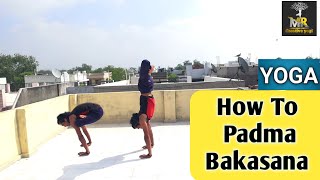 Yoga Asana For Increase Body Strength | Padma Bakasana | Hand - Arm Balance Yoga |