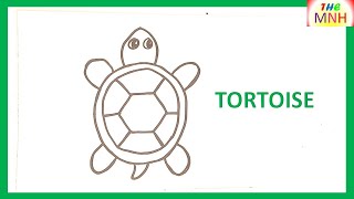 How to DRAW a TORTOISE Easy Step by Step