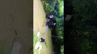 fish lover like veskondi mari#fishingvideo #trendingshorts #viralvideo #india