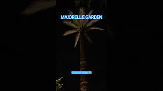 Jardin Majorelle #majorelle #marakesh #palmtree #palmtrees  #gardenlover #palmeiras #zelig #zellige