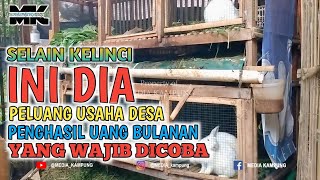 PELUANG USAHA DESA SELAIN KELINCI