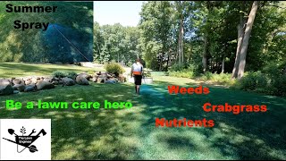 Summer Lawn Spraying - Weed Control-Fertilizer-Crabgrass