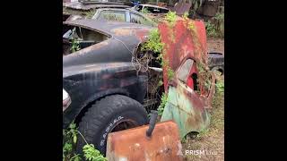 Muscle car auto salvage in Florida