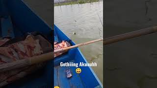 Nila Makan Sore Hari #shorts #shortsfeed #fishingvideo