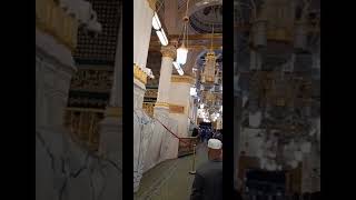 Riaz Ul Jannah In Masjid Al Nawabi |