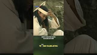 Wiro Sableng Seperti Lupa Ingatan #wirosableng #wirosableng212 #kenken #sintogendeng #shorts