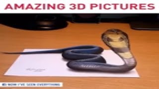 Amazing 3D Pictures