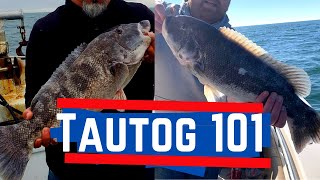 TAUTOG 101 - Everything You Need to Target Blackfish/Tog