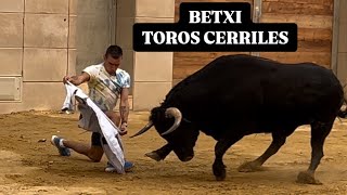 BETXI 18.9.24 TOROS CERRILES DE LOS RONCELES Y NUÑEZ DE TARIFA. Y vacas de GUILLAMON