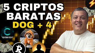 5 CRIPTOMOEDAS BARATAS QUE PODEM FAZER MAIS DE 500% EM 2024   DOG GO TO THE MOON AINDA PODE EXPLODIR