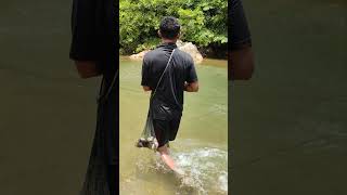 Nelayan tradisional melempar jala ikan sungai #fishing #catchfishtechnique