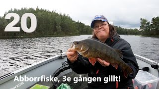 Abborrfiske med Eric. Äntligen en större abborre!