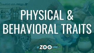 Physical and Behavioral Traits | What's the Difference? | EdZOOcating Adventures